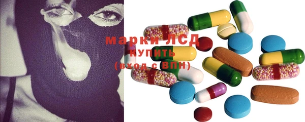 спиды Магас