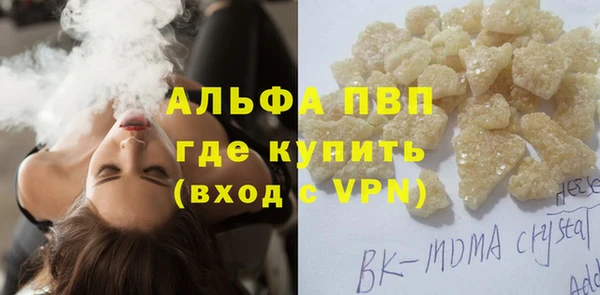 спиды Магас