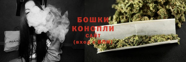спиды Магас