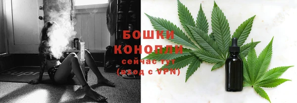 спиды Магас