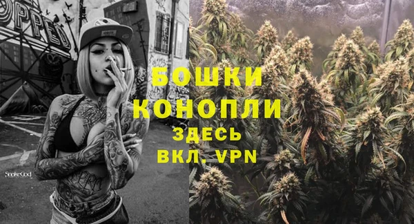 спиды Магас