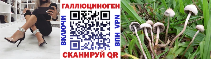 купить наркоту  Хасавюрт  Псилоцибиновые грибы мухоморы 